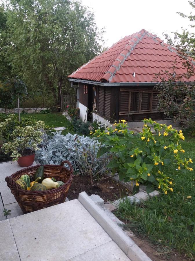Apartman Civovic Rudnik Exteriér fotografie