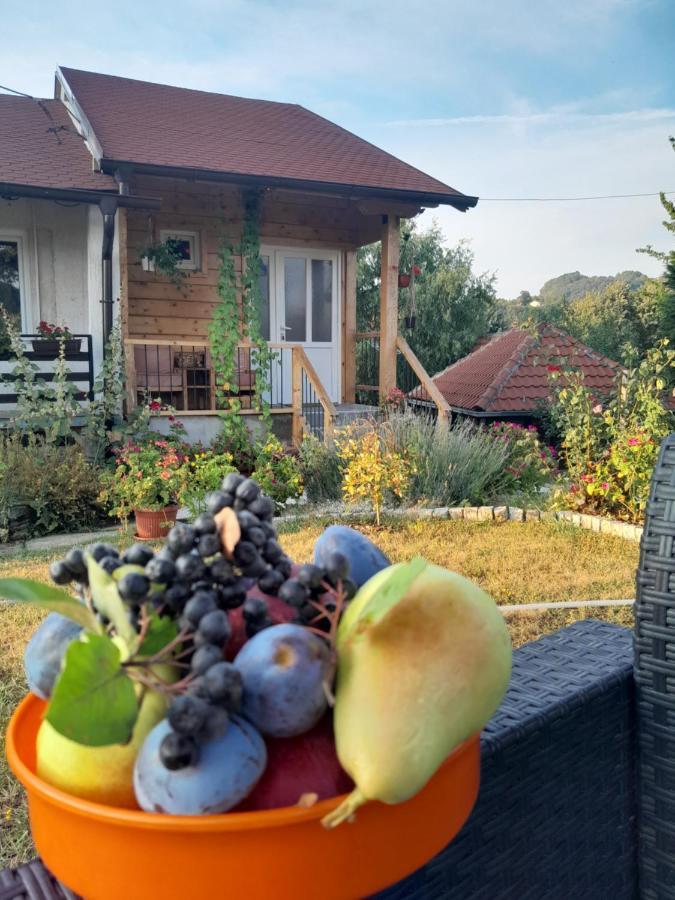 Apartman Civovic Rudnik Exteriér fotografie
